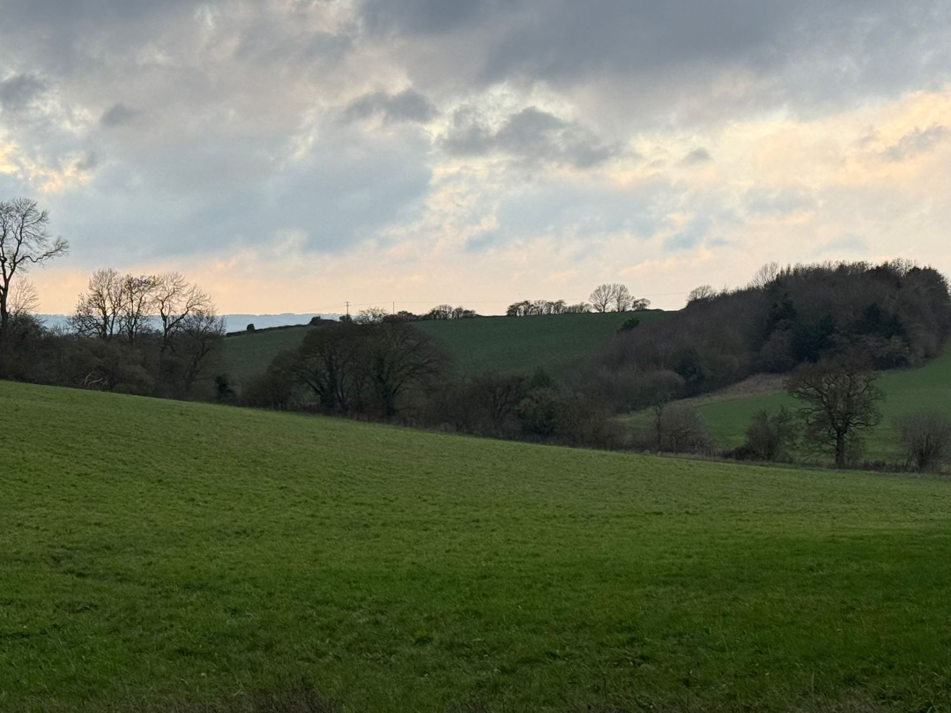 Between Weston and Graveley